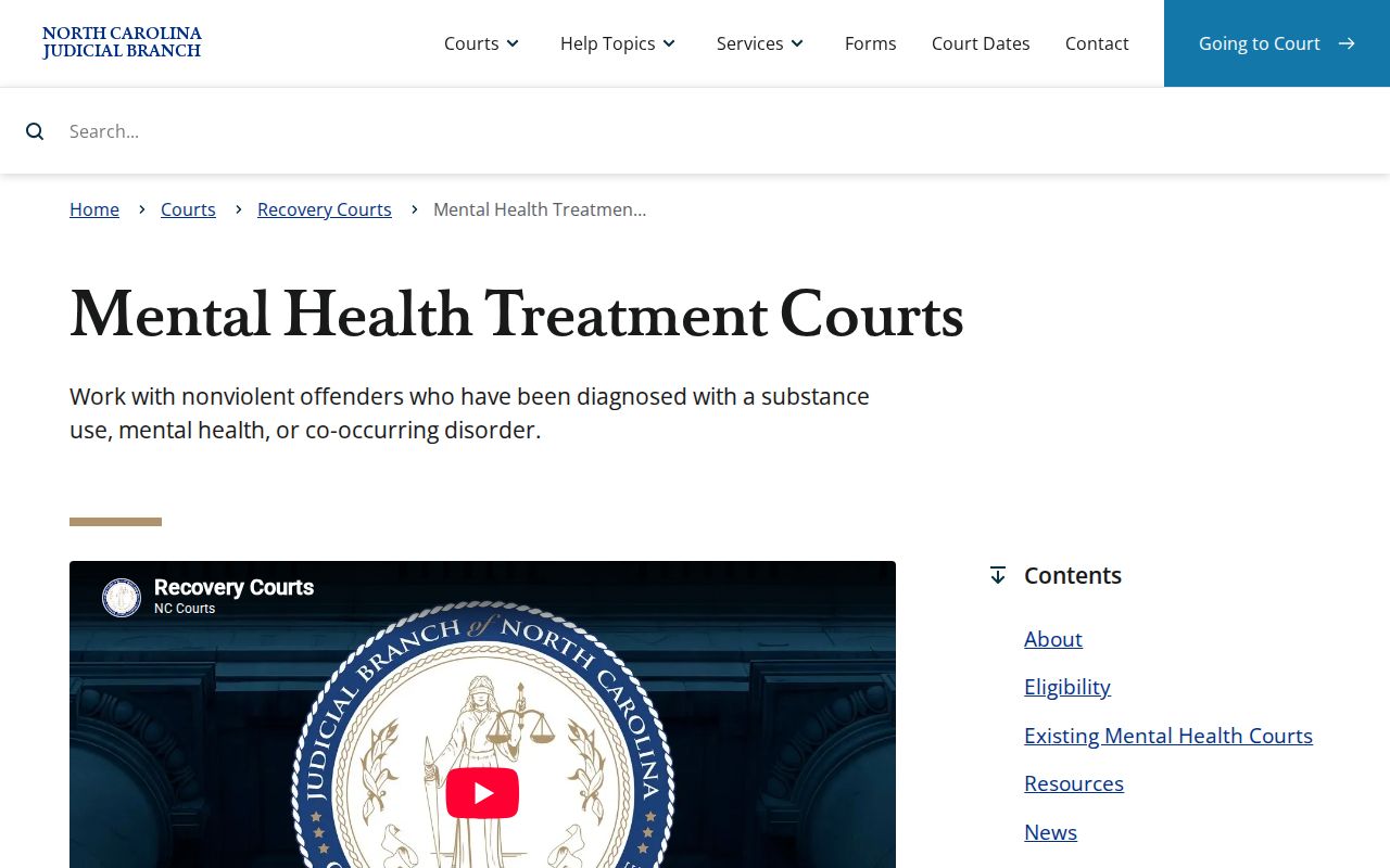 Clemmons court docket Mental Health Court program reference