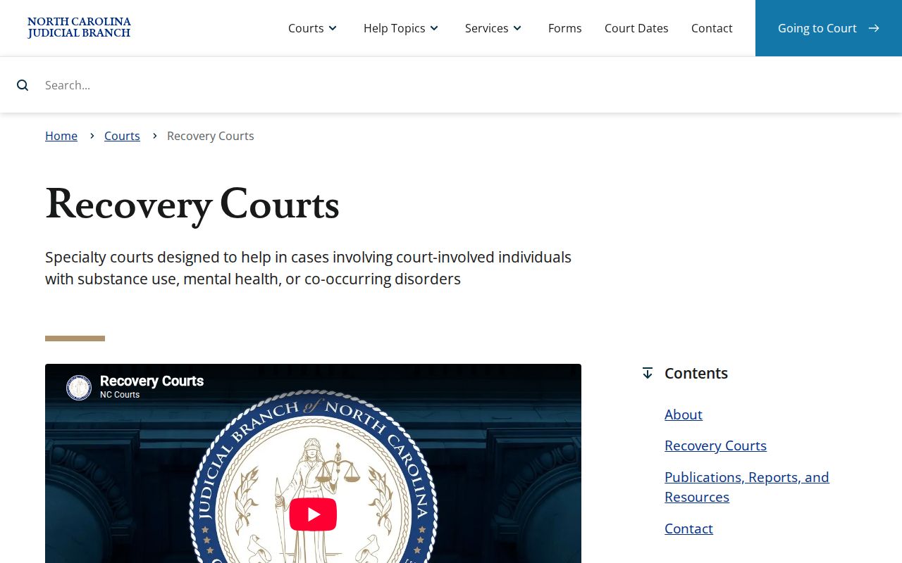 Clemmons court docket District 31 recovery courts reference